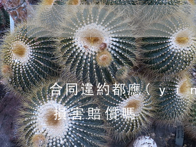 合同違約都應(yīng)負(fù)精神損害賠償嗎？